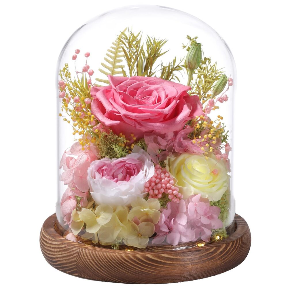4184 Flowers for Delivery Prime Preserved Flowers Pink Roses with LED Light